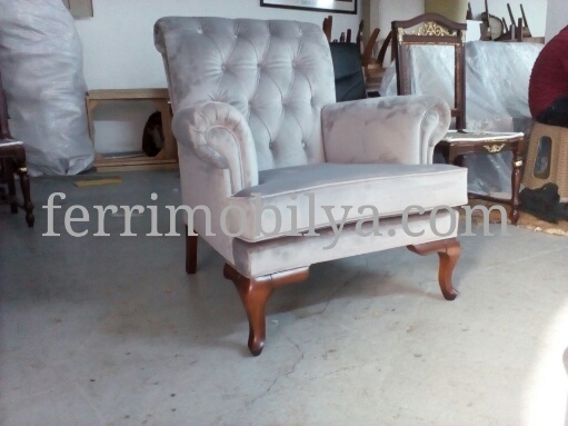 KAPİTONELİ BERJER D2 088